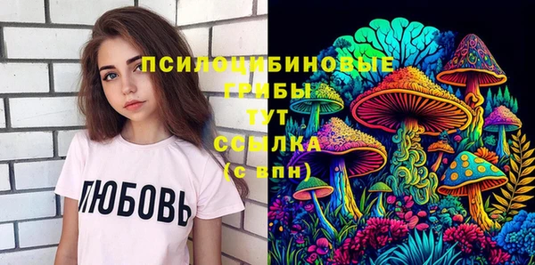 соль ск Лагань
