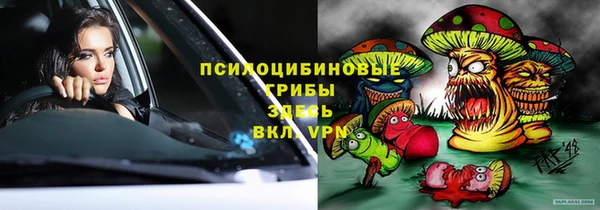 хмурый Алзамай